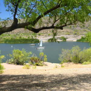 Patagonia Lake State Park, AZ